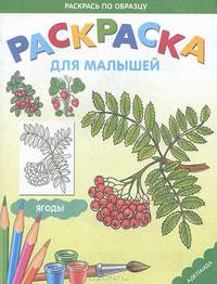 Ягоды. Раскраска для малышей