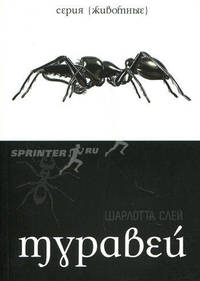 Муравей