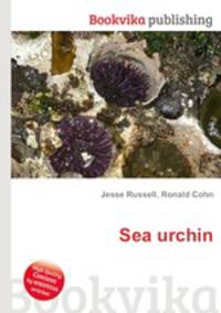 Sea urchin