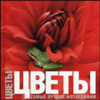 Цветы: самые лучшие фотографии