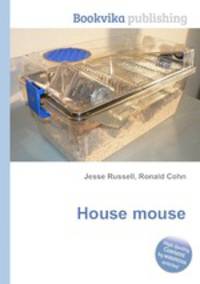House mouse