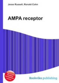 AMPA receptor