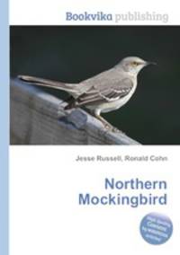Northern Mockingbird