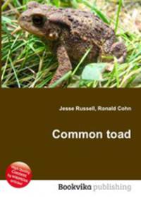 Common toad