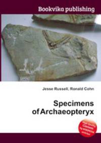 Specimens of Archaeopteryx