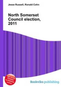 North Somerset Council election, 2011