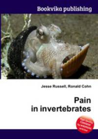 Pain in invertebrates