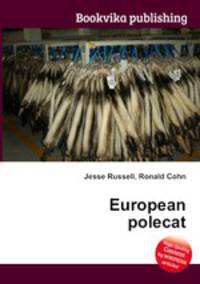 European polecat