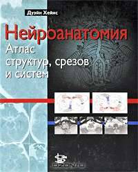 Нейроанатомия. Атлас структур, срезов и систем