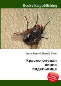 Красноголовая синяя падальница