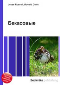 Бекасовые