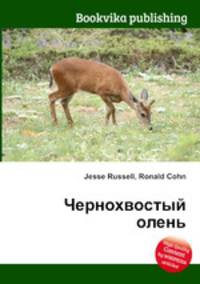 Чернохвостый олень