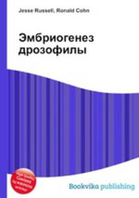 Эмбриогенез дрозофилы