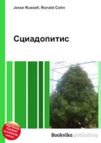 Сциадопитис