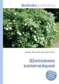 Шиповник колючейший