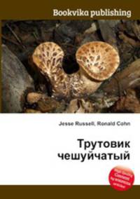 Трутовик чешуйчатый