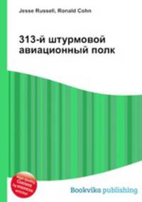 313-й штурмовой авиационный полк