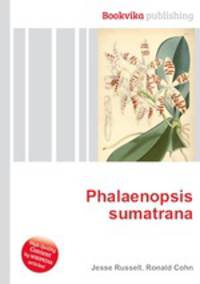 Phalaenopsis sumatrana
