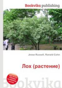 Лох (растение)