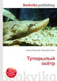 Тупорылый осётр