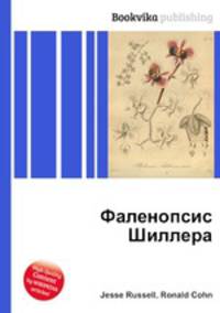 Фаленопсис Шиллера
