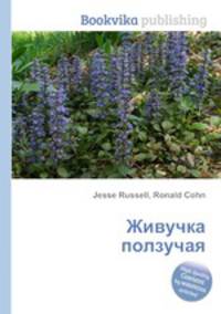 Живучка ползучая