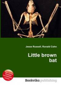 Little brown bat