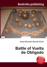 Battle of Vuelta de Obligado