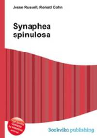 Synaphea spinulosa