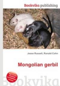 Mongolian gerbil
