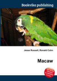 Macaw