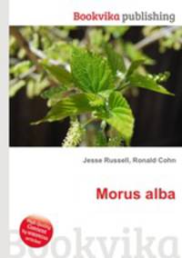 Morus alba