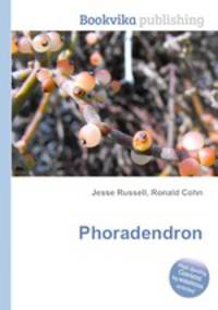 Phoradendron