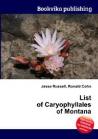 List of Caryophyllales of Montana