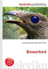 Bowerbird