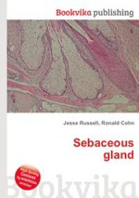 Sebaceous gland