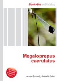 Megaloprepus caerulatus