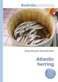 Atlantic herring