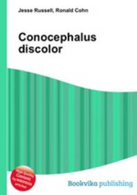 Conocephalus discolor