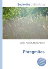 Phragmites