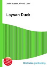 Laysan Duck