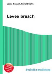 Levee breach