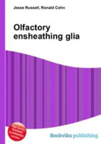 Olfactory ensheathing glia