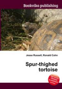Spur-thighed tortoise
