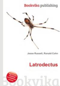 Latrodectus