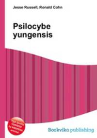 Psilocybe yungensis