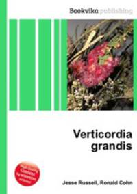 Verticordia grandis