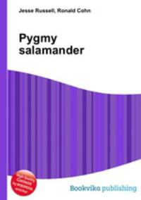 Pygmy salamander