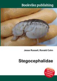 Stegocephalidae