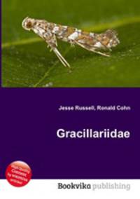 Gracillariidae